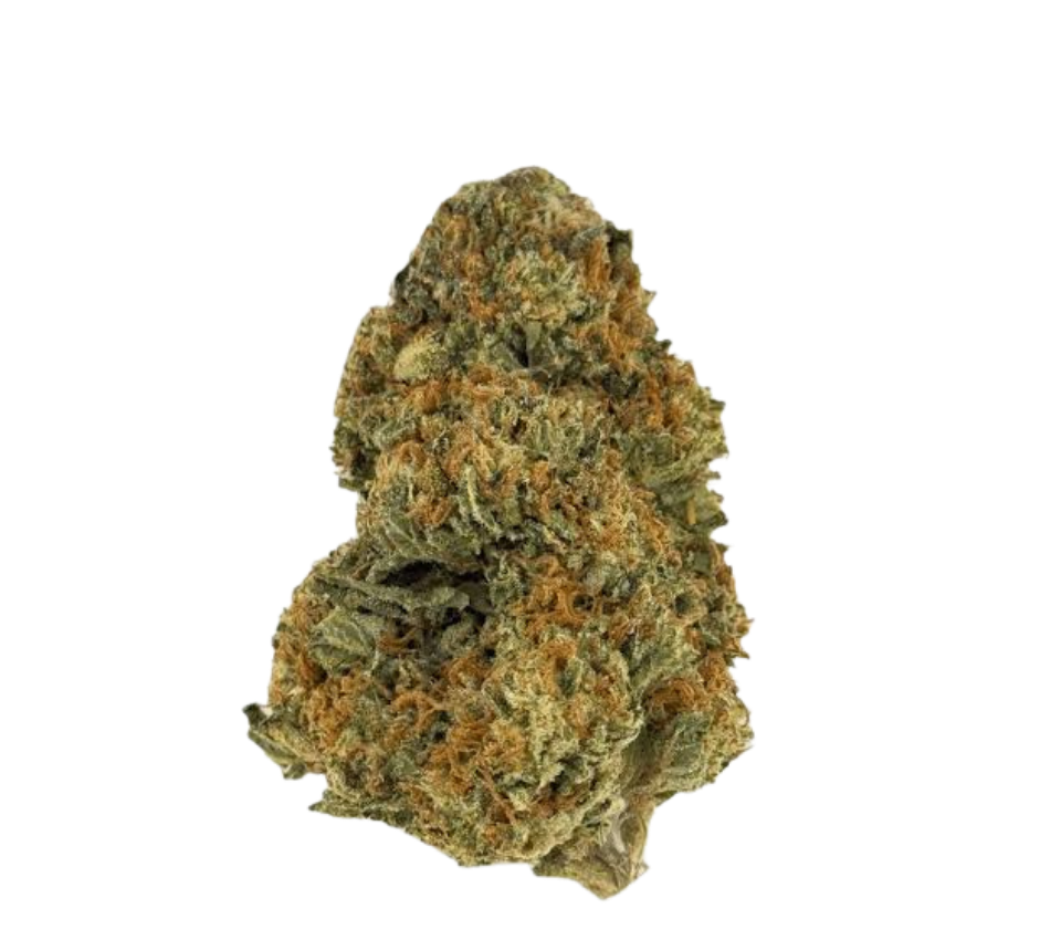 Fleur Small Buds THC+ présentée sur fond clair