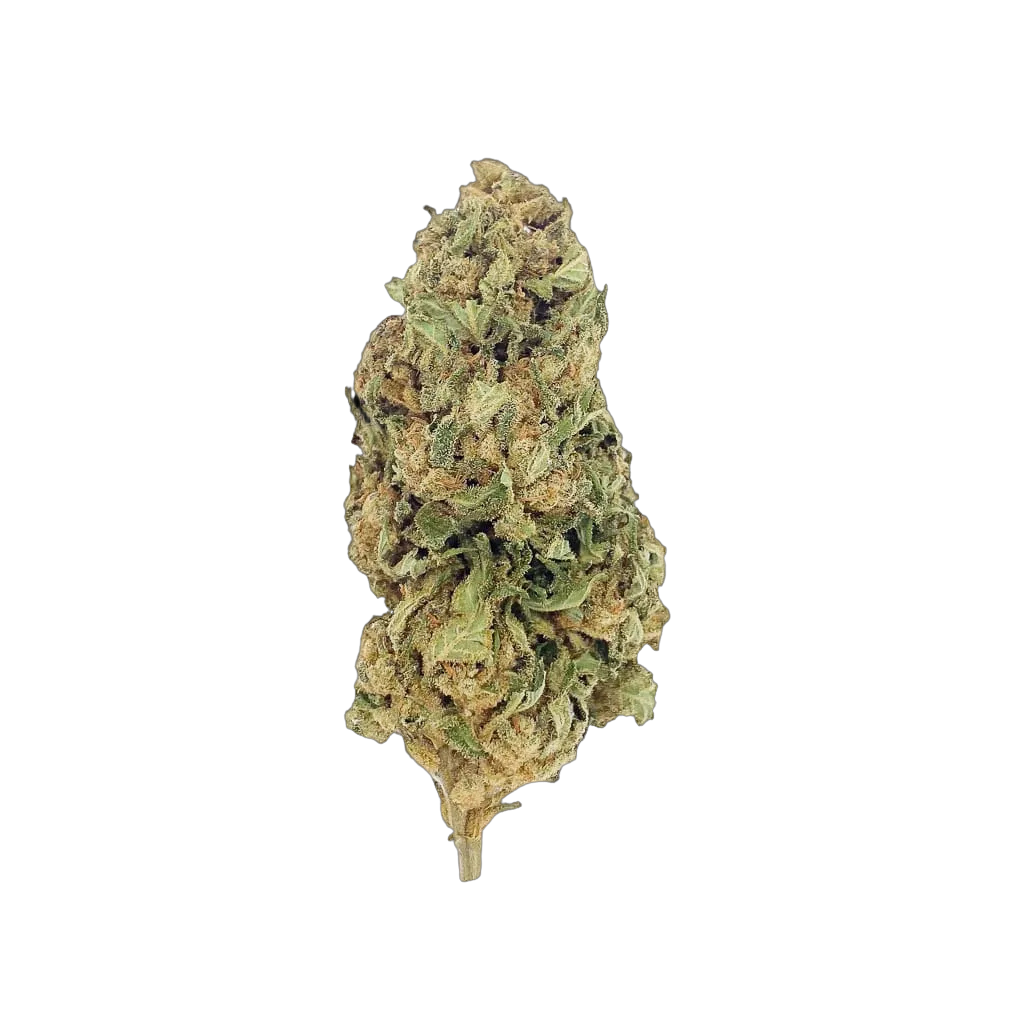 Lemon 🍋 10 OH HHC
