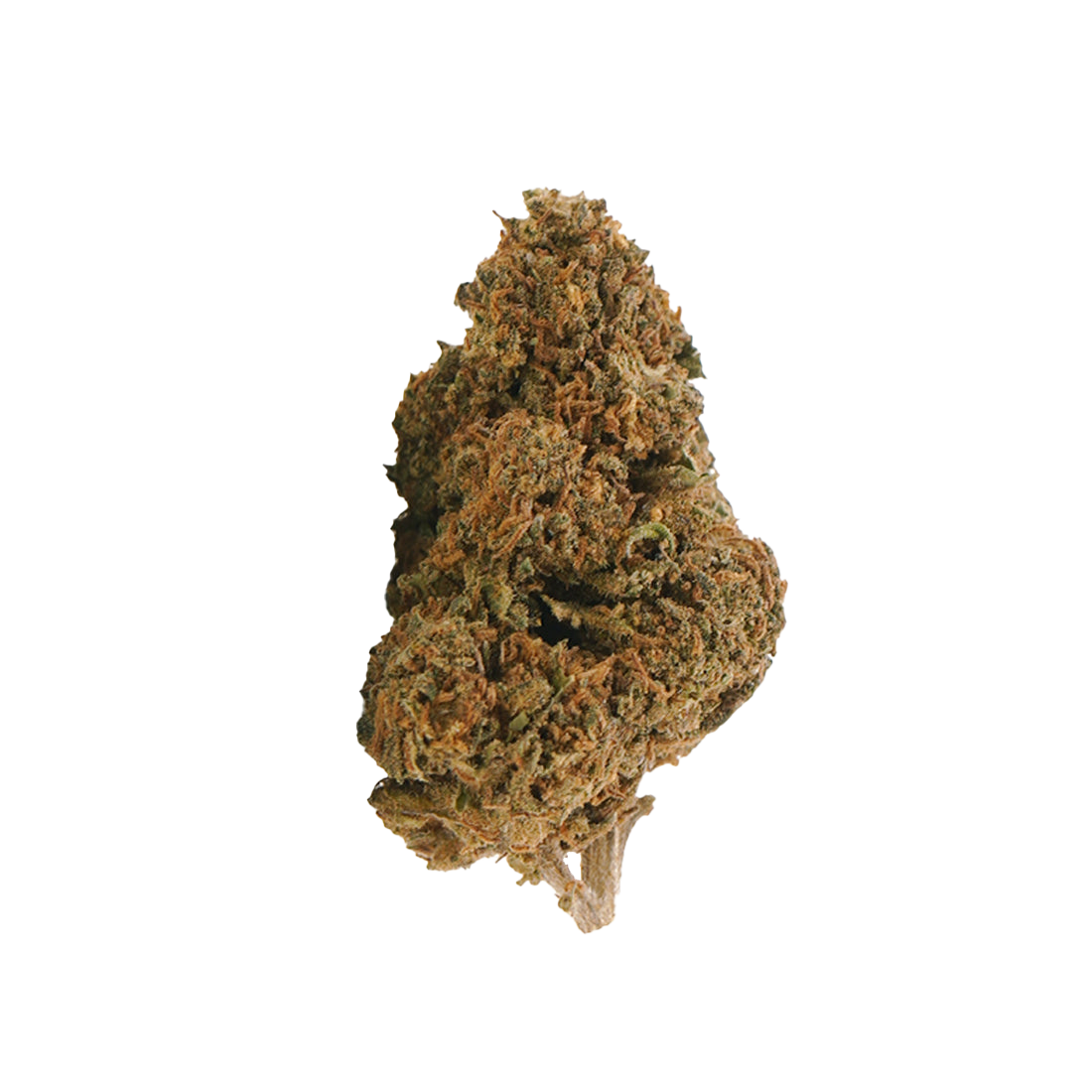 🎁 Jack Herer 🌿 | 20% THCX 2.0 (100% off)