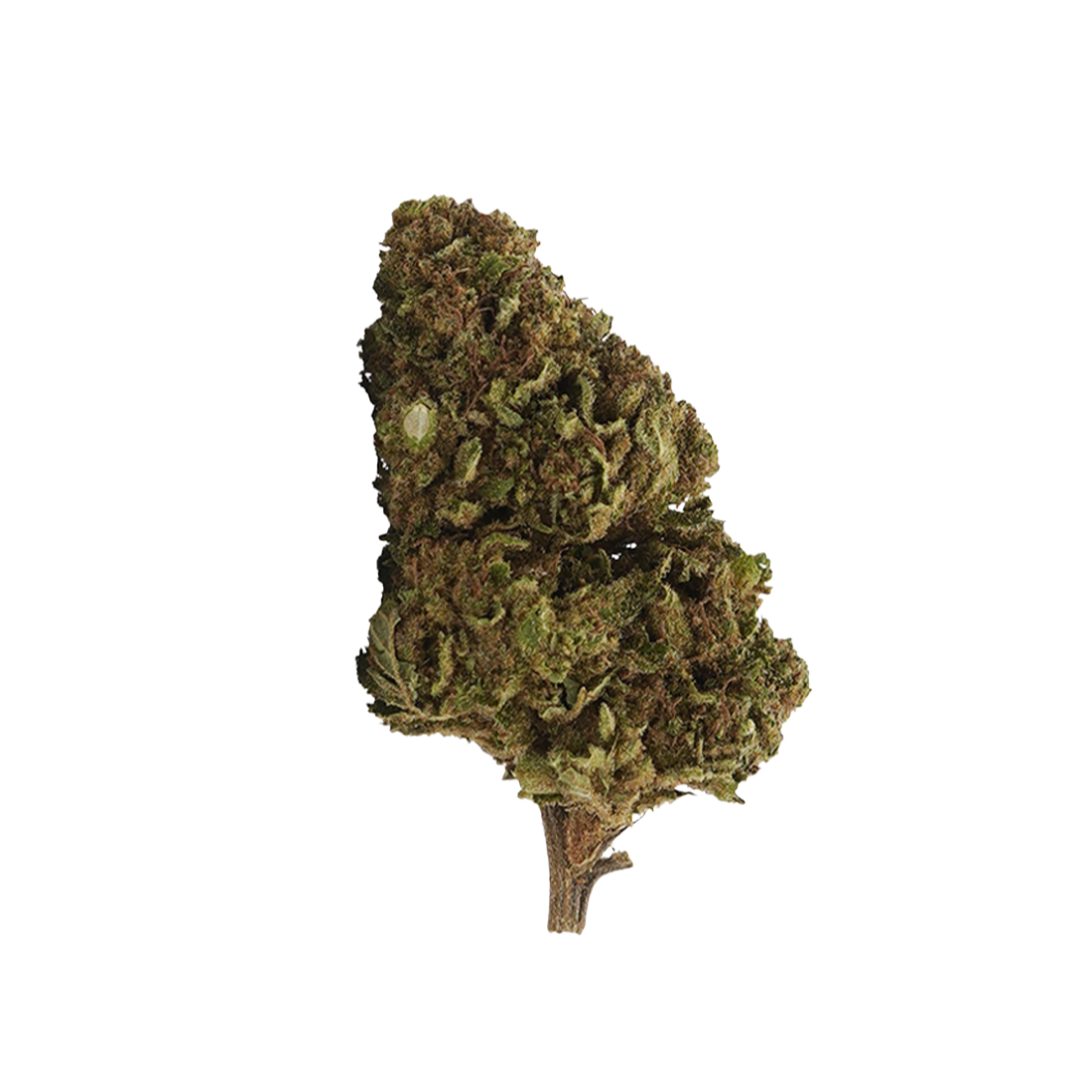 🎁 White Widow 🕸️ 10-OH-HHC (100% off)