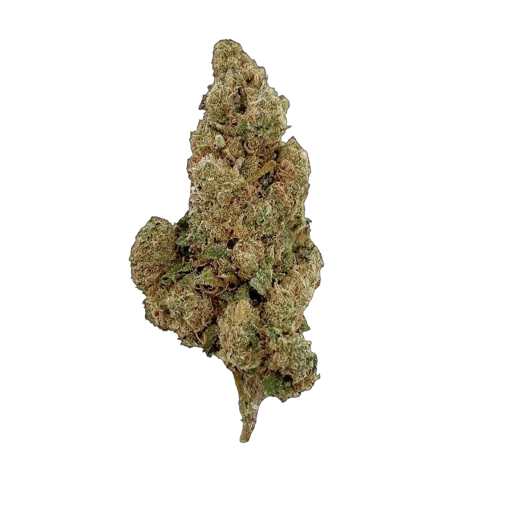 🎁 Amnesia 🧠 10-OH-HHC (100% off)