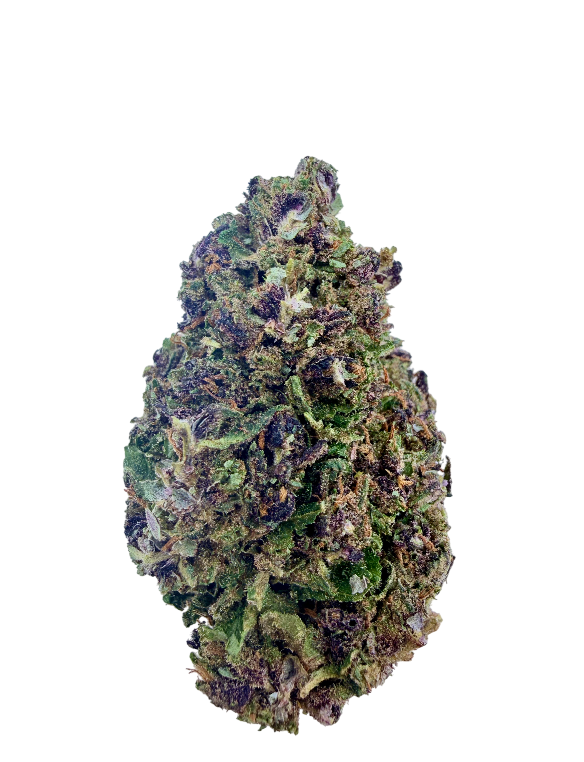 Purple Haze 😈 - THC+