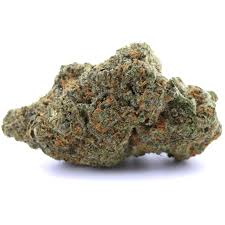 🎁 Amnesia 🧠 CBX (100% off)