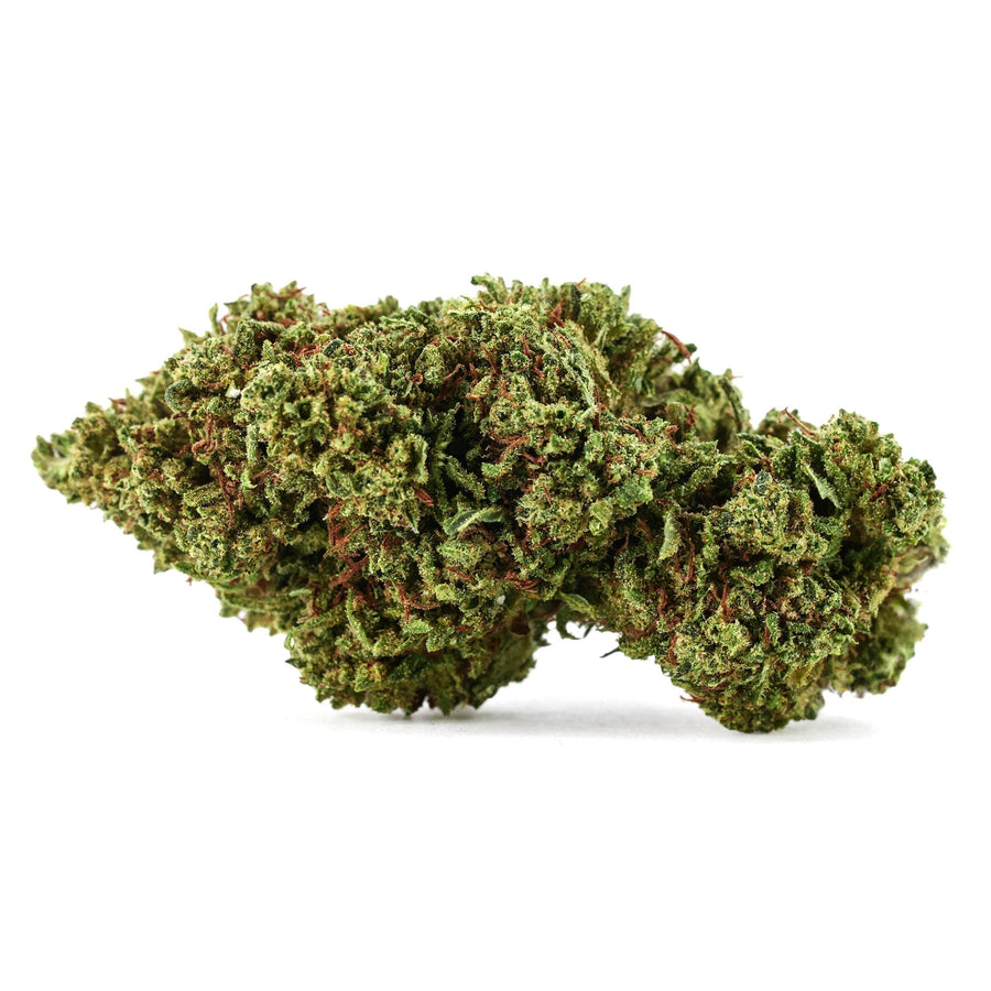Gorilla Glue 🦍 CBX