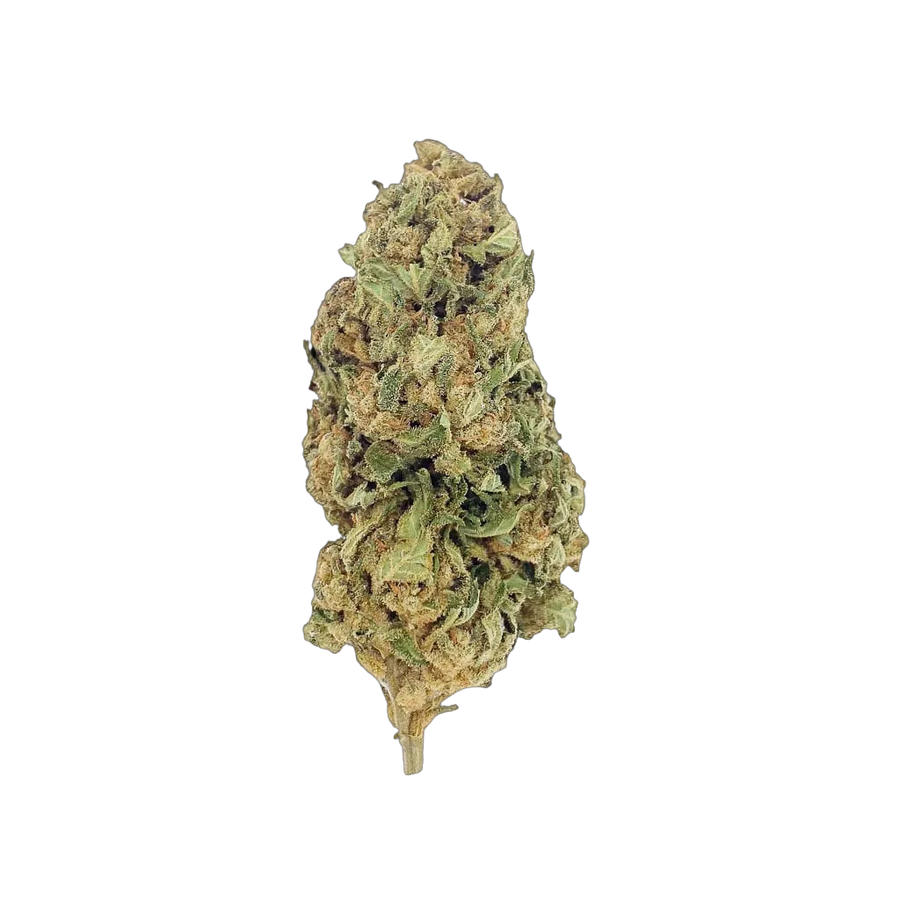 Lemon 🍋 10 OH HHC