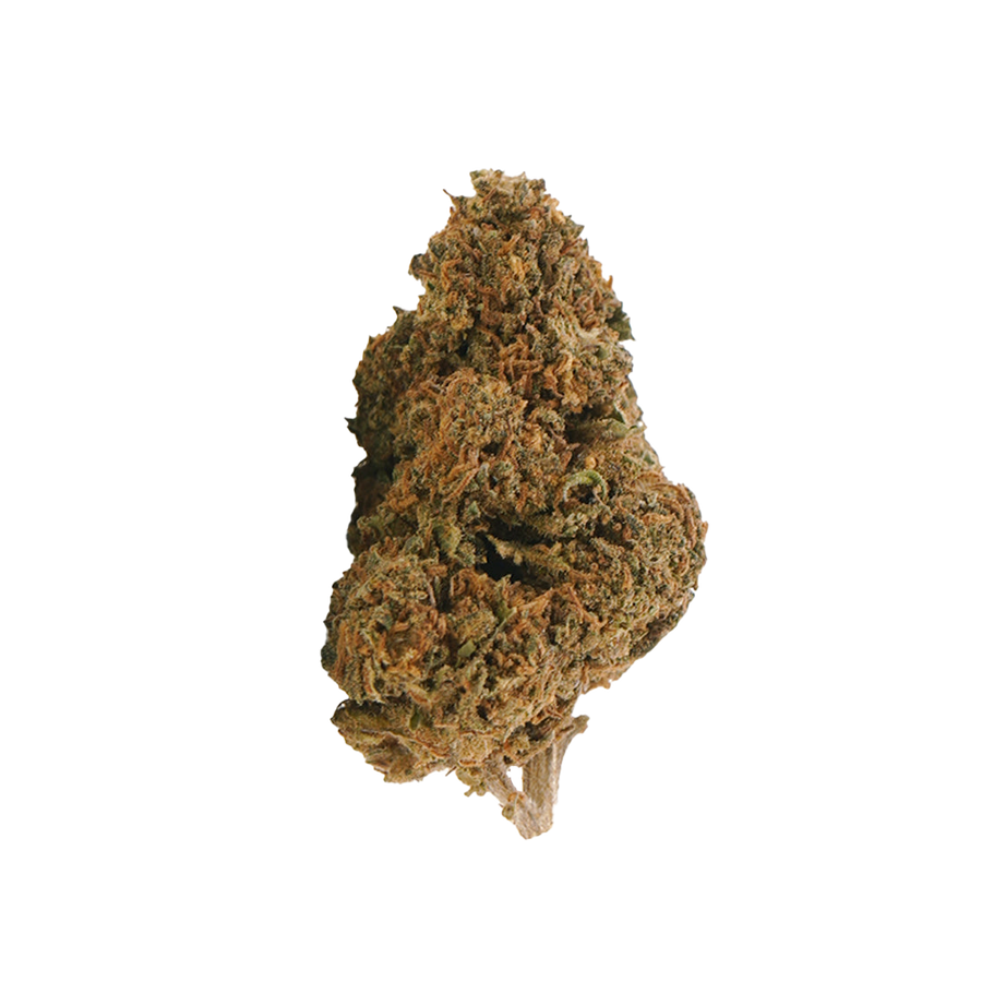 Jack Herer 🌿 | 20% THCX 2.0