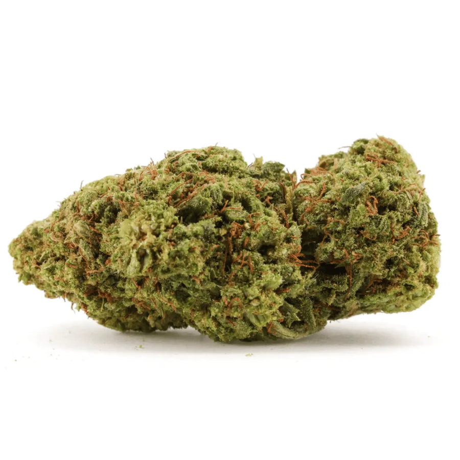 Tropical Kush 🌴 CBX