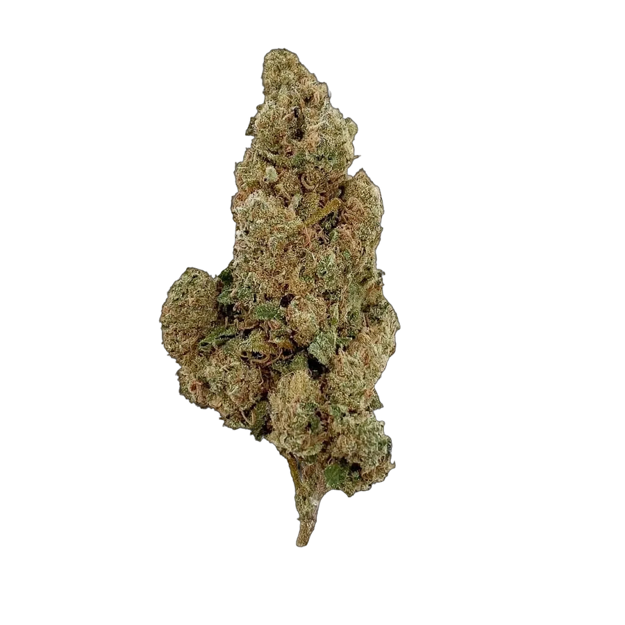 Amnesia 🧠 10-OH-HHC