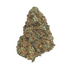 Cali Skywalker OG 🌌 TH-X