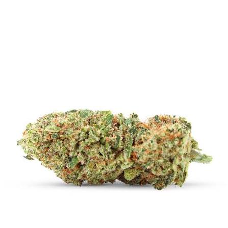 Cali GMO Cookies 🍪 THCX 2.0