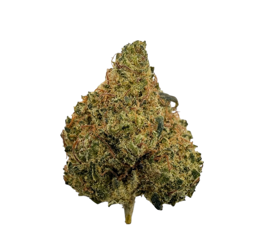 Small Buds THC+ 💥